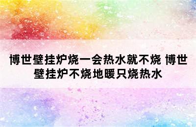 博世壁挂炉烧一会热水就不烧 博世壁挂炉不烧地暖只烧热水